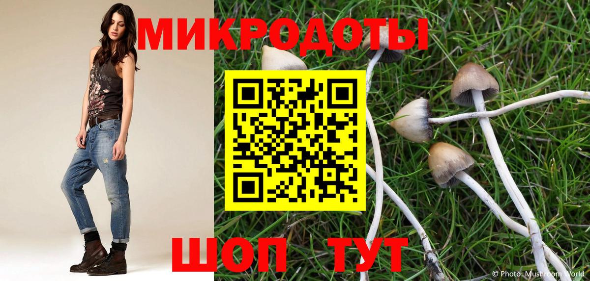 Обь  Галлюциногенные грибы Cubensis  Вход с VPN  Псилоцибиновые грибы прущие грибы 