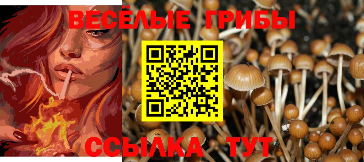 Гашиш Обь