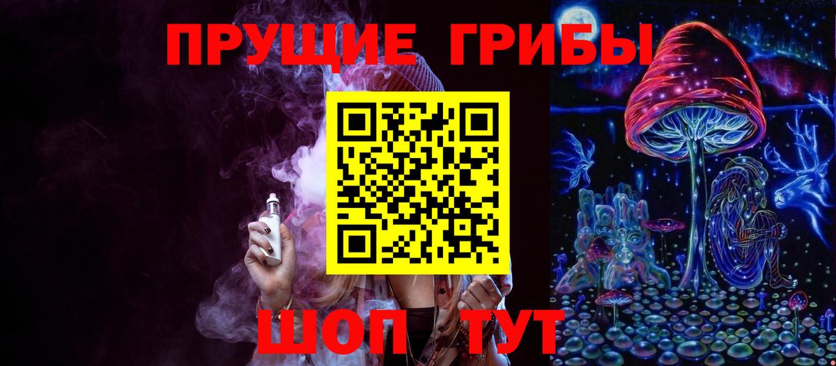 Псилоцибиновые грибы Cubensis Обь